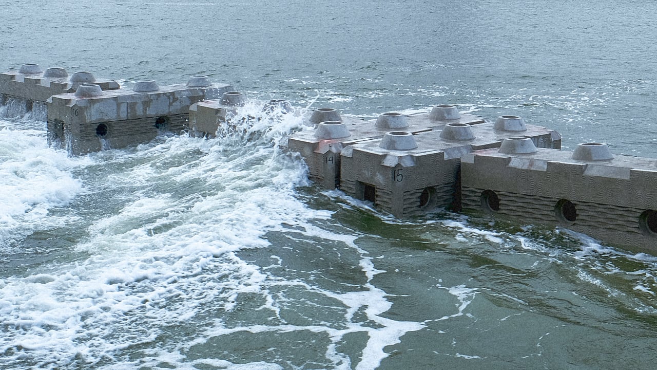 These artificial reefs look like massive Lego blocks and double as a home for marine life
