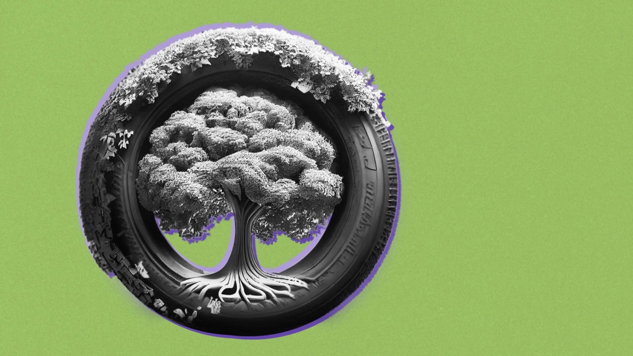 How to build a sustainable brand