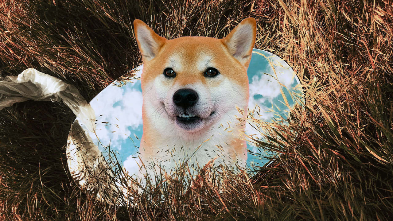 Meme coin Shiba Inu is starting its second act—in the metaverse