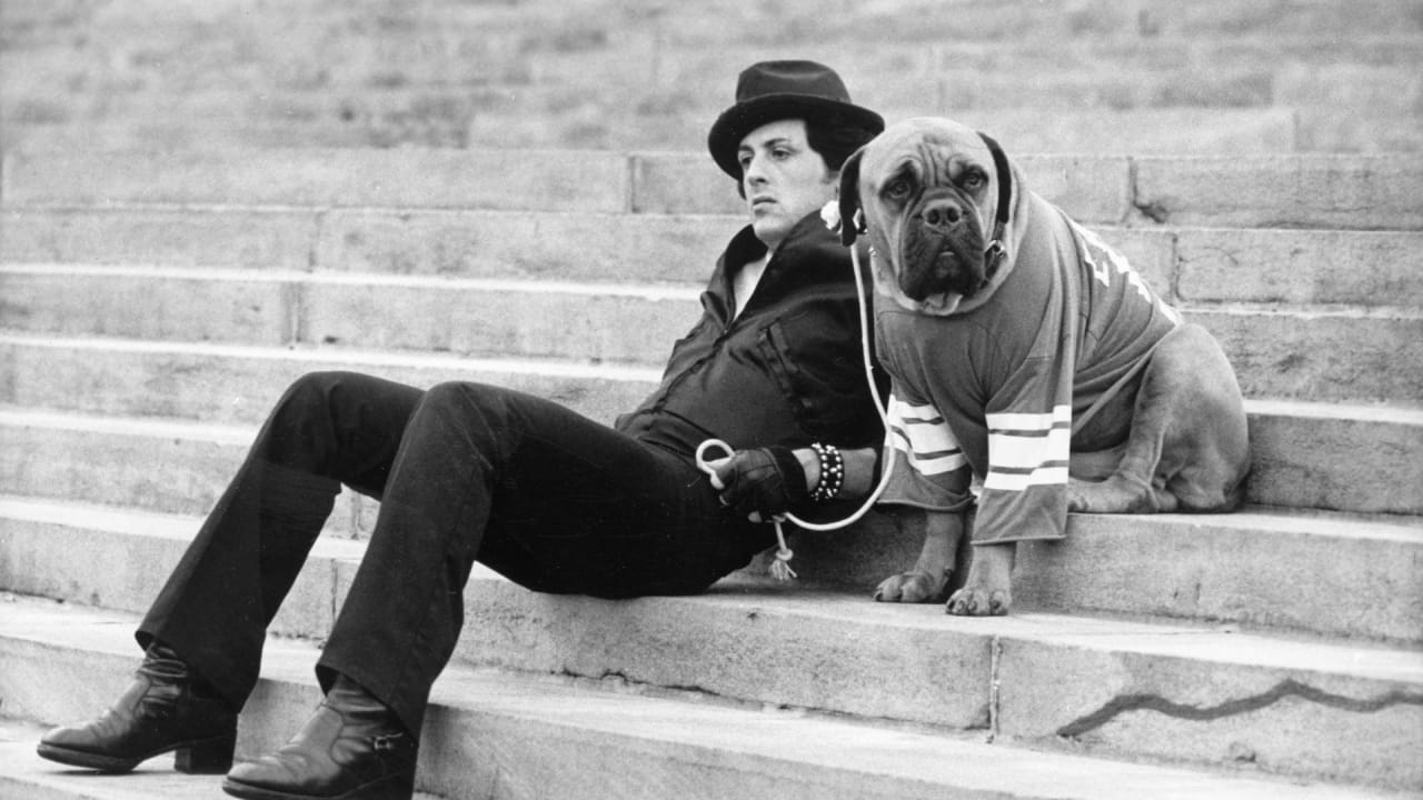 Why Most People Pick The Wrong Career