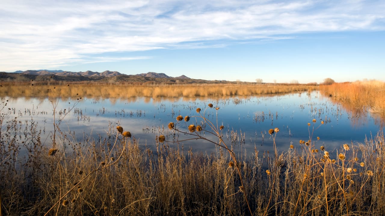Why New Mexico is considering a ‘green amendment’ to its state constit
