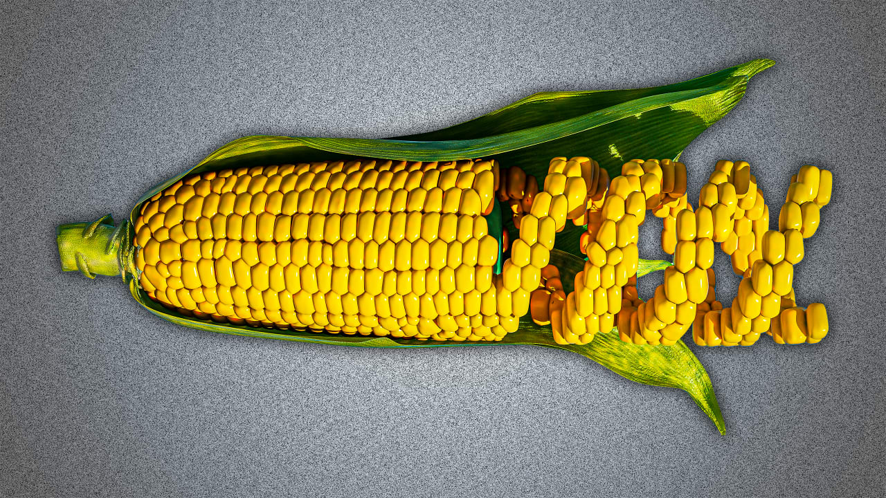 your-next-salad-mix-could-be-made-using-crispr-and-that-s-a-good-thing