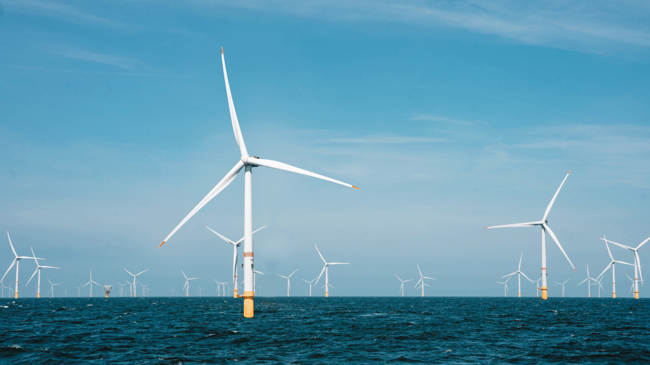 Giant wind turbines float out in the ocean. Here’s how engineers make sure they don’t drift away