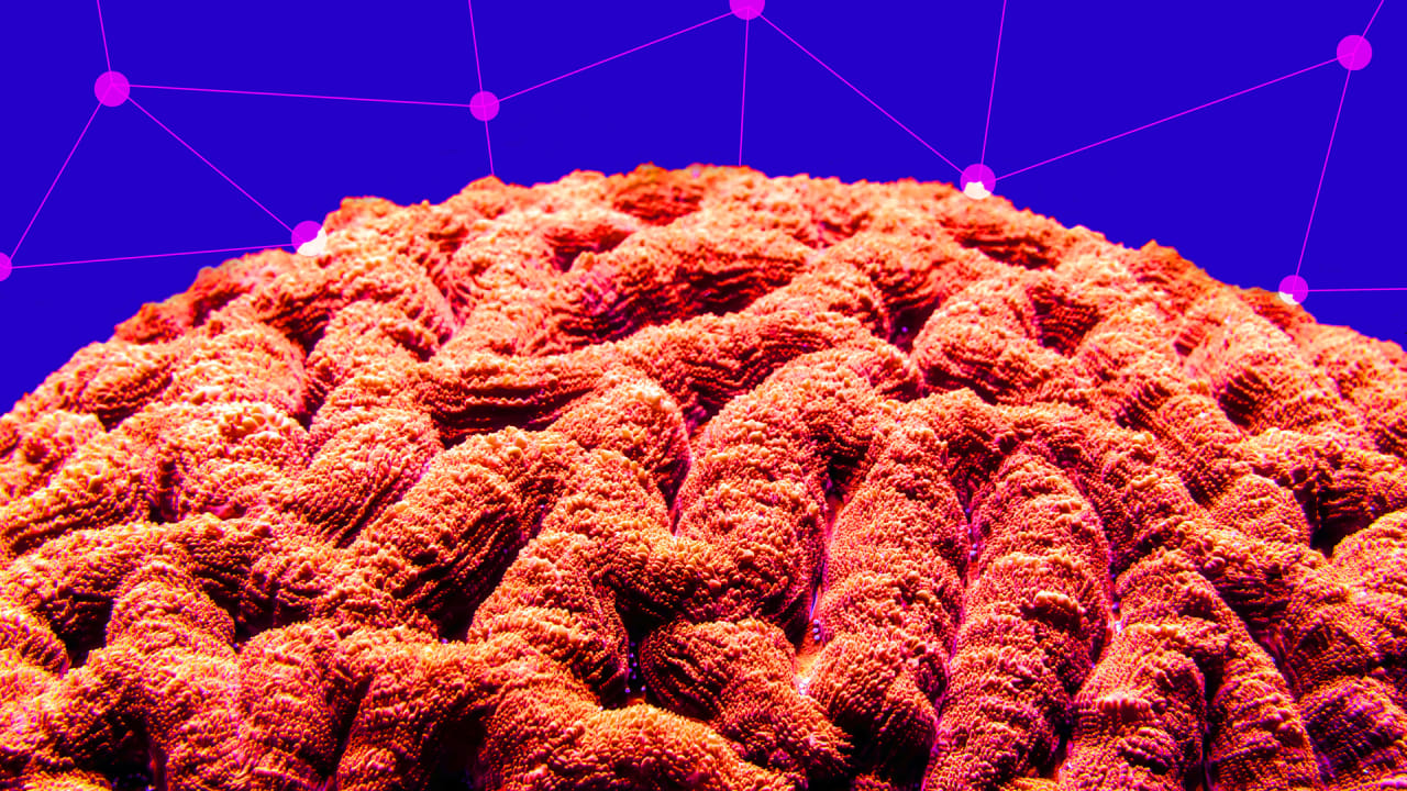 What Is Ethical AI And Why Must Companies Consider It 