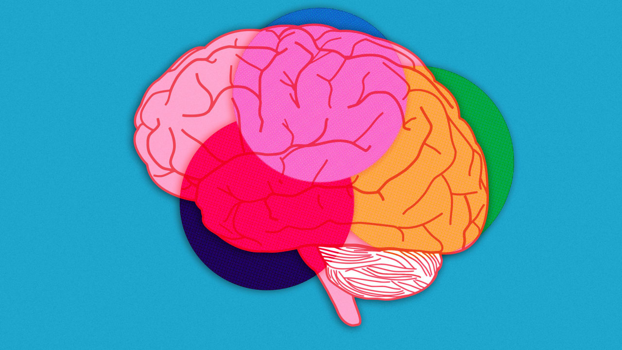  A cutaway illustration of a human brain with areas highlighted in blue, green, red, pink and orange.