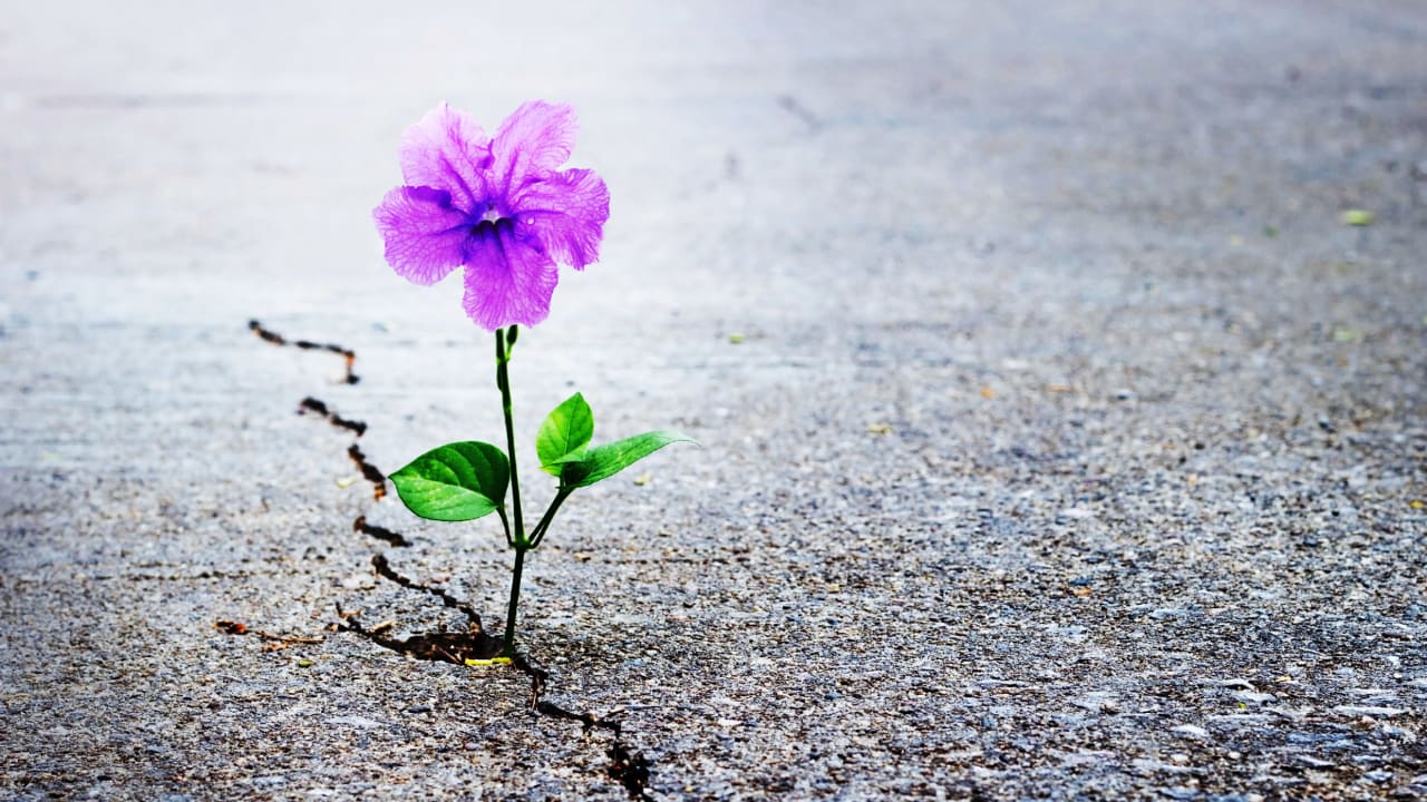 5 mistakes that are stunting your brand s growth and how to fix them
