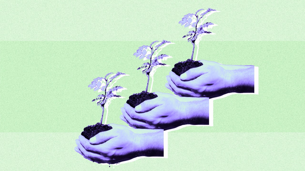 Law Firm Business Mentorship: Why Most Partners Are Doing It Wrong