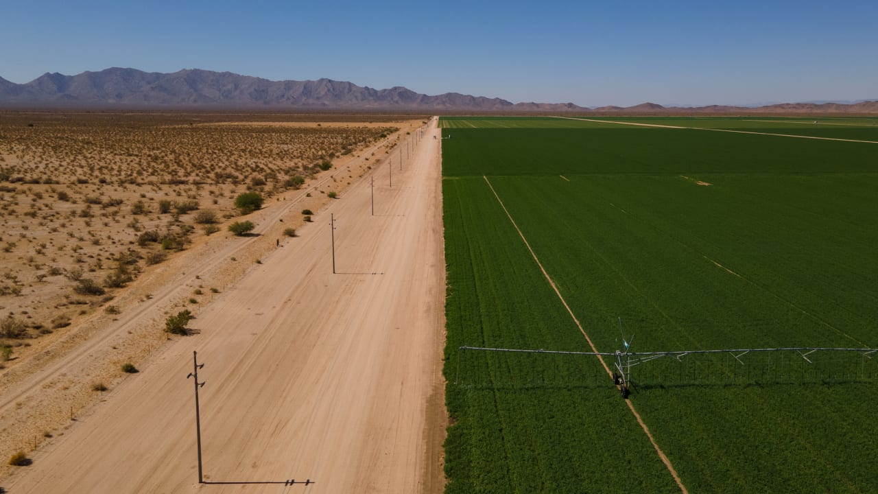 Arizona is evicting a Saudi alfalfa farm. But in the midst of a historic drought, it’s not enough