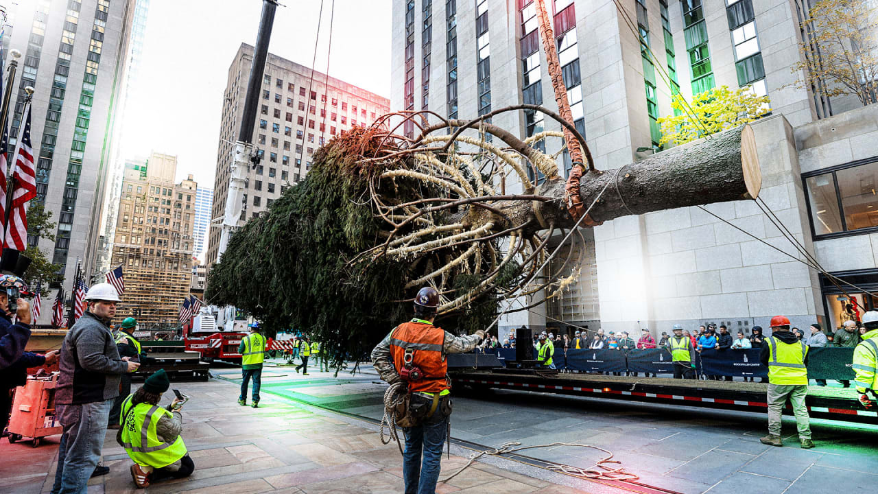 The Rockefeller Center Christmas tree by the numbers