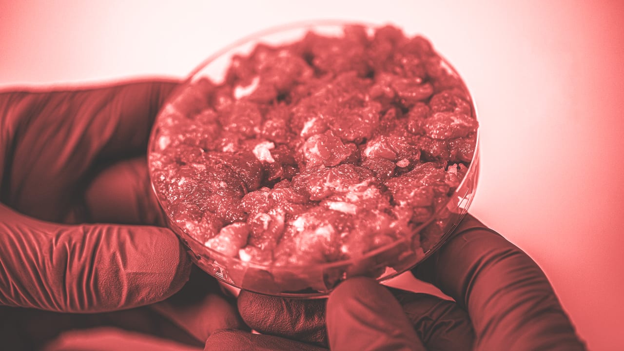 Cellcultivated meat is facing challenges—but we shouldn't give up