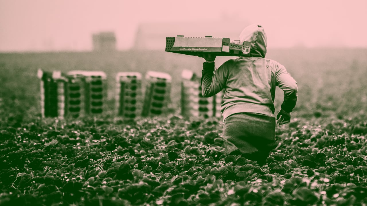 Immigrants bolster the U.S. economy