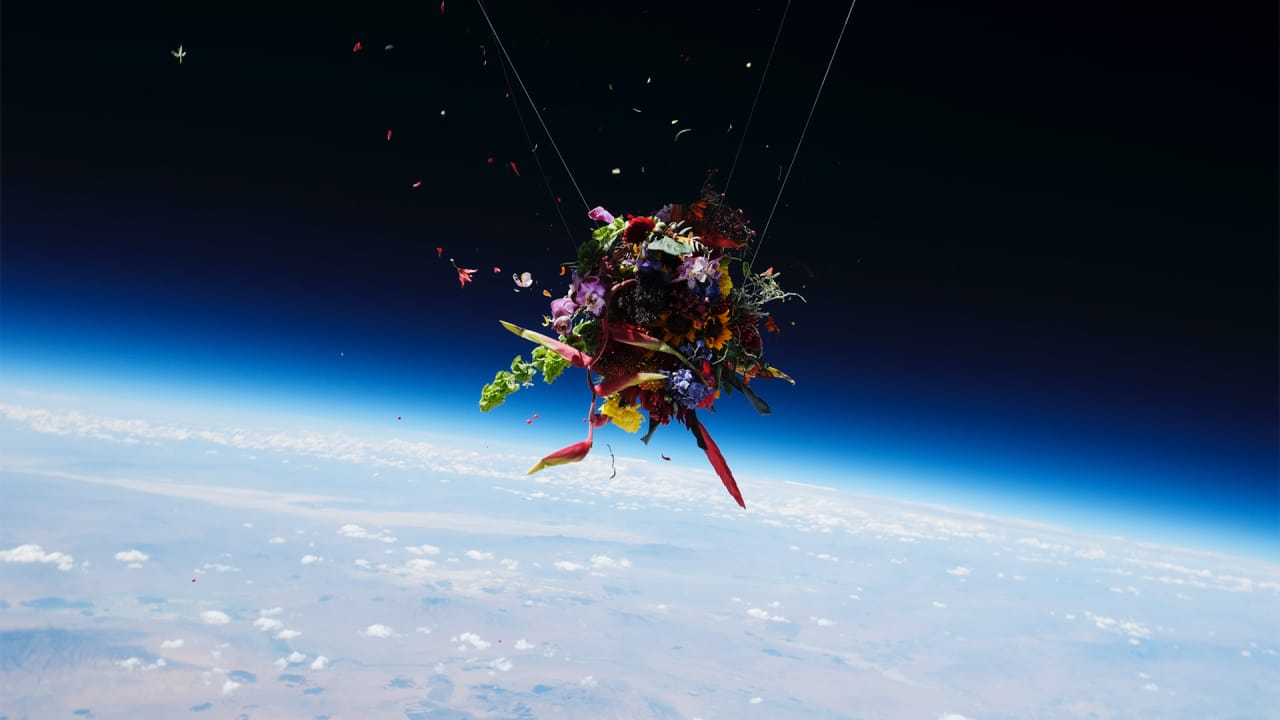 What Happens When You Launch Flower Bouquets Into Space