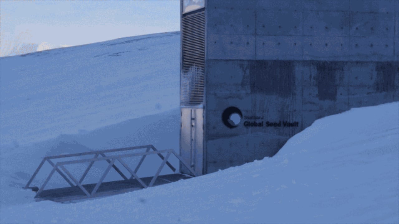 Take A Video Tour Of The Doomsday Seed Vault In The Arctic Circle