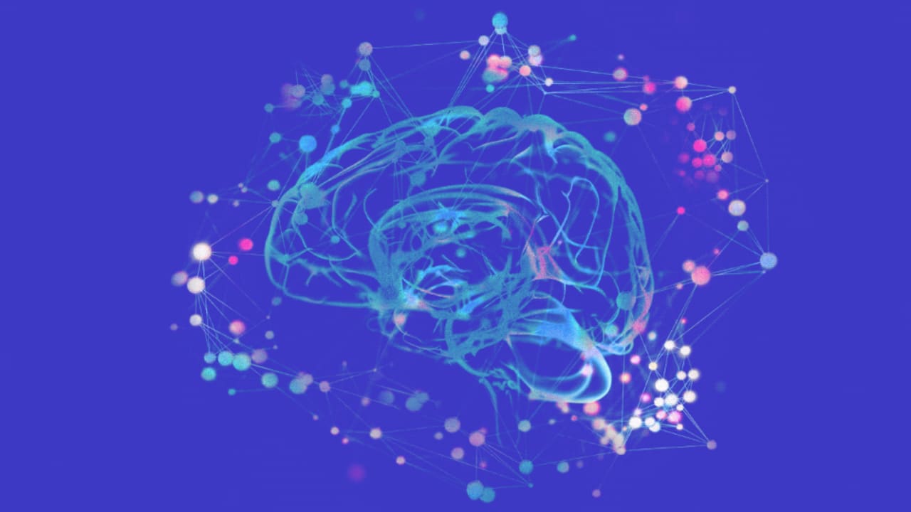 Heres Brainwave Magnetic Pulses Could >> Brain Wellness Club Field Specializes In Neuroenhancement Heres Brainwave Magnetic Pulses Could >> Brain Wellness Club Field Specializes In Neuroenhancement