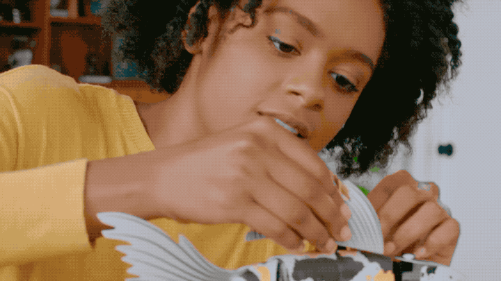 forma legos for adults