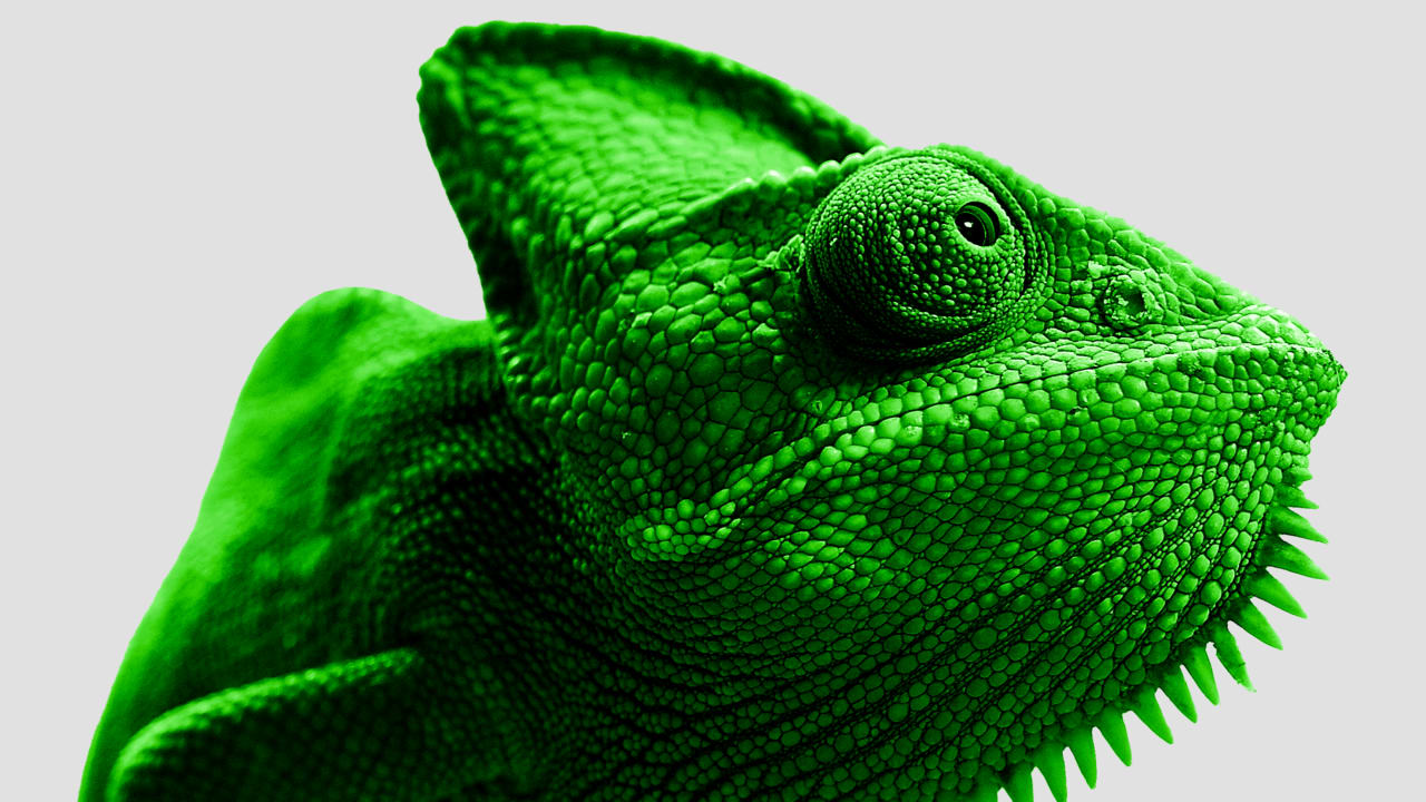 Chameleon-Inspired Coating For Buildings Could Significantly Improve Energy  Efficiency