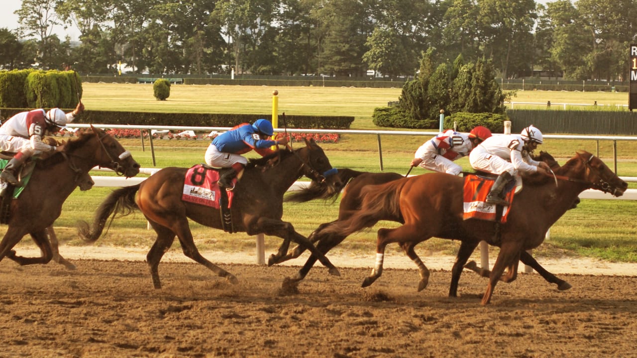 Belmont Stakes live stream: How to watch Justify go for the Triple Crown without a TV