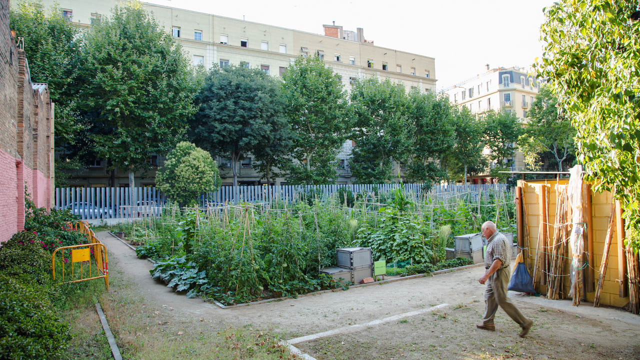 Google News Fence Latest