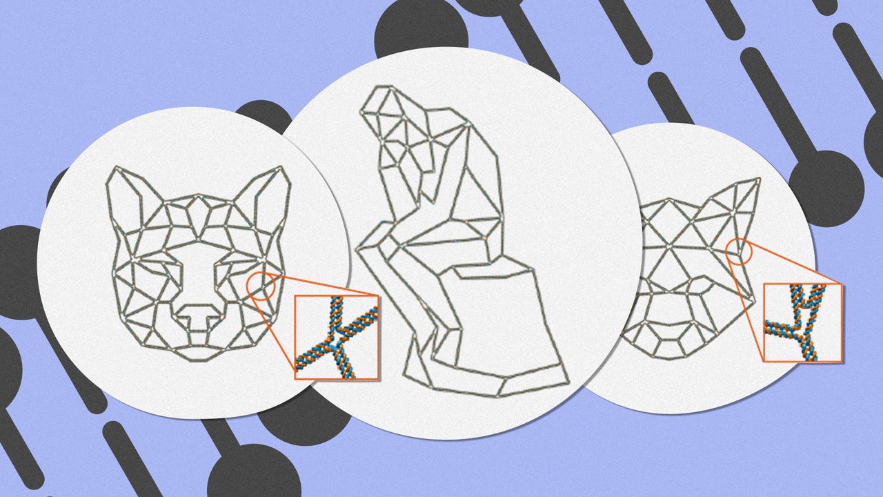 Forget AutoCAD–this app lets you design with DNA