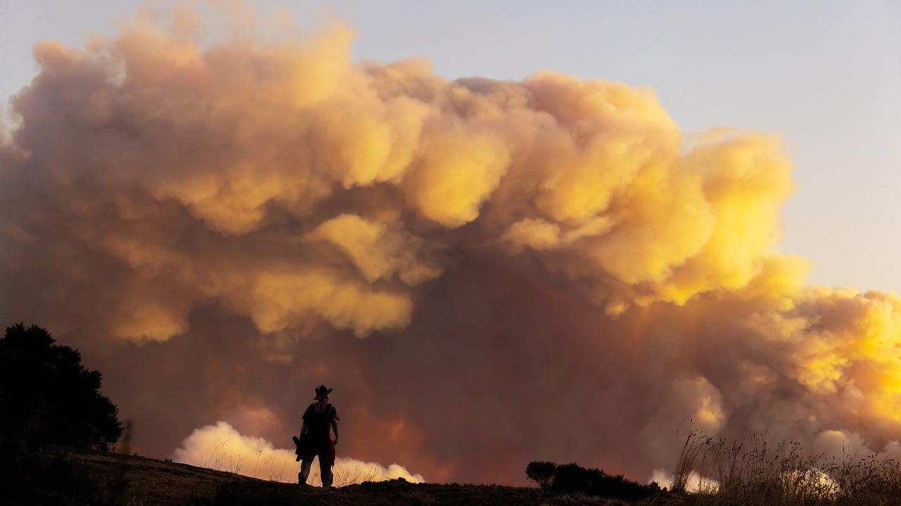 Why Is Wildfire Smoke So Bad For Your Lungs Fast Company Bloglovin why-is-wildfire-smoke-so-bad-for-your-lungs-fast-company-bloglovin