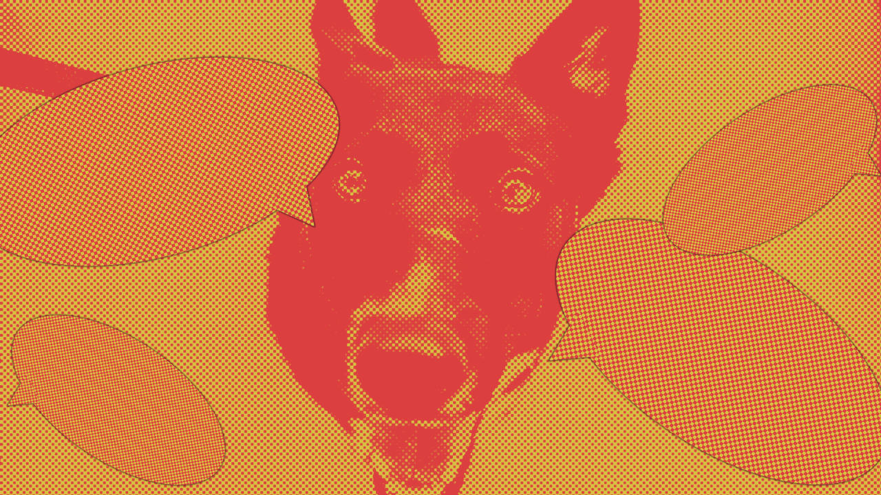 Talk to your dogs: Their brains process speech the same way yours does