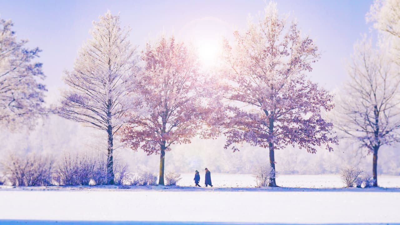 How to improve your ability to relax during the pandemic holidays