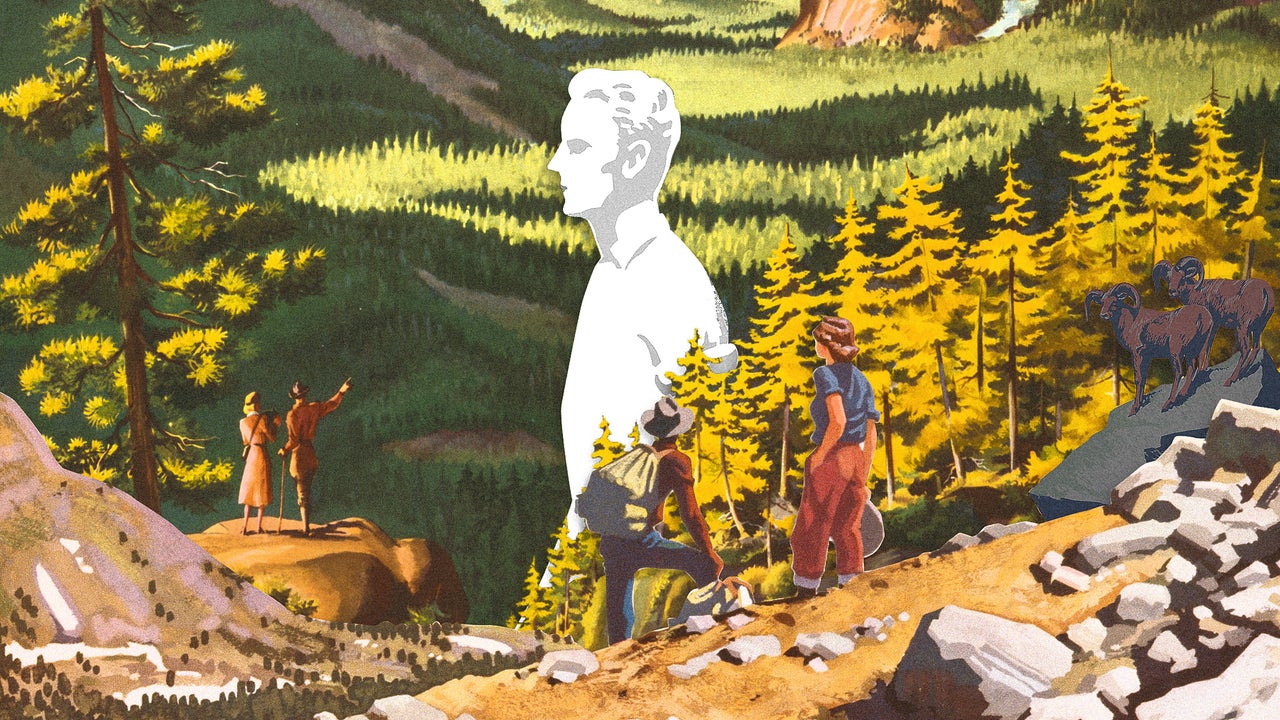 The Unbearable Whiteness of Camping