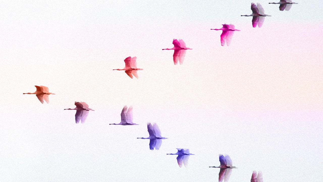 The science behind 7 great leadership principles