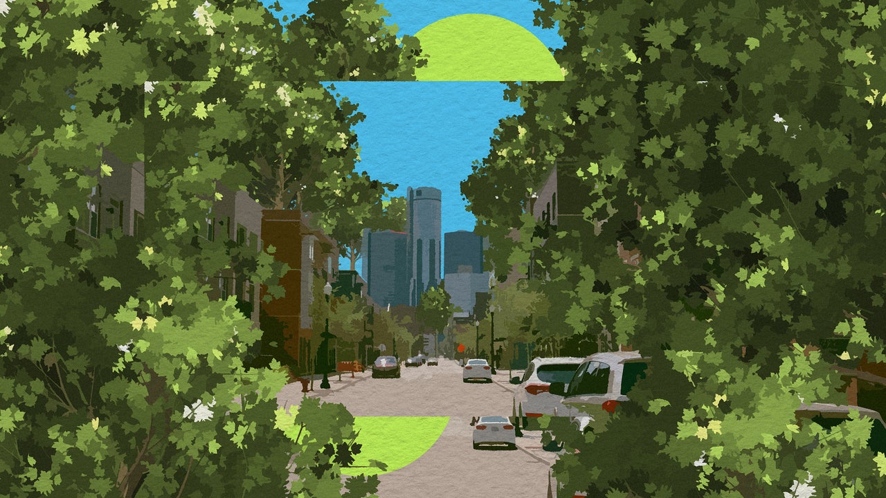 How urban forestry can help battle climate inequality