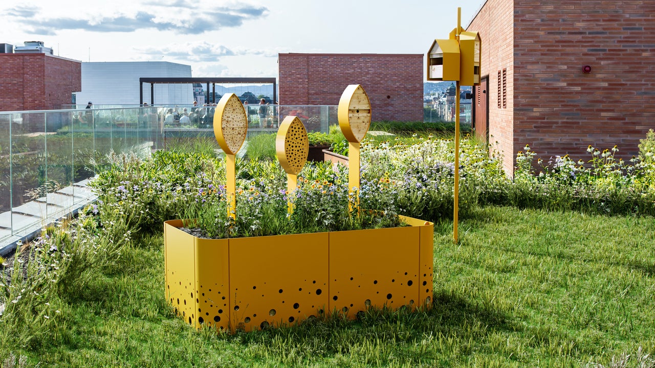 These bug hotels could bring biodiversity back to cities