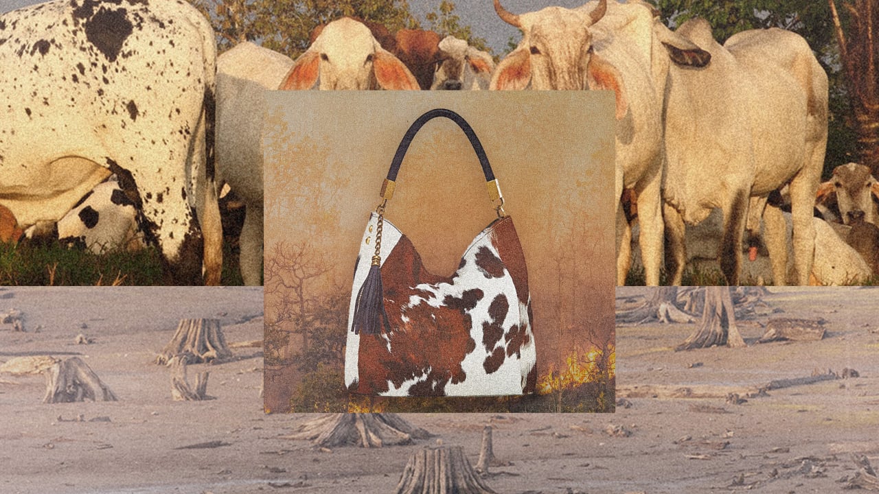 Brands like Nike, Coach, and Gap are destroying the Amazon with their leather products