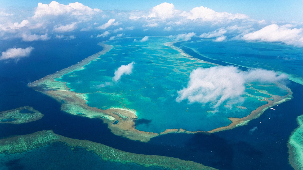 The Great Barrier Reef has record coral cover. It may not matter