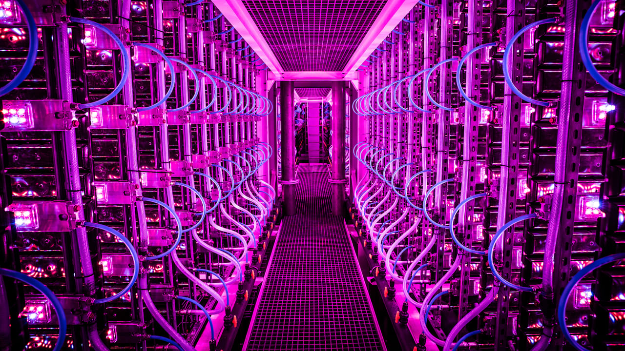 Inside this vertical farm, carbon-neutral algae grows under glowing pink lights