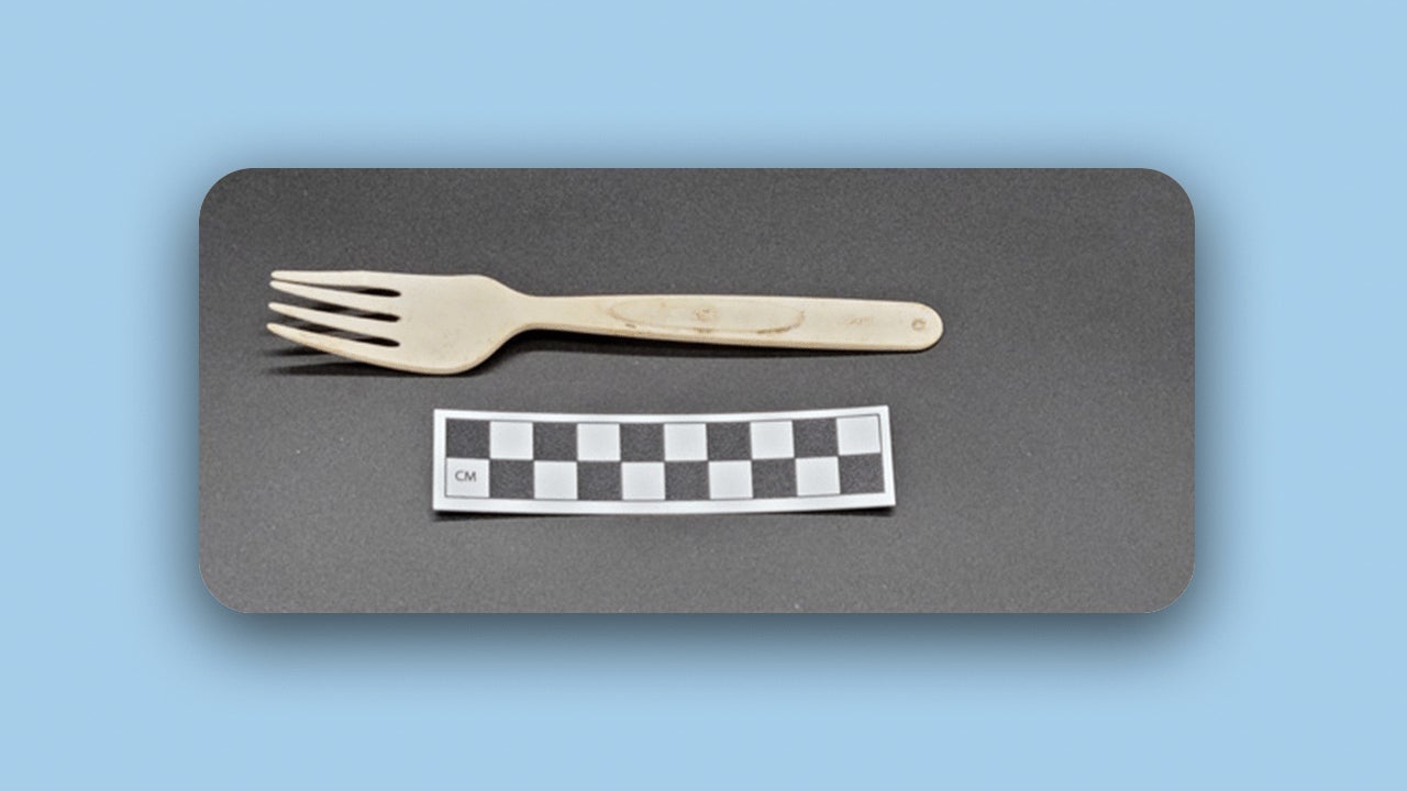 These photos show what happens when a 'sustainable' bioplastic fork is dropped in the ocean