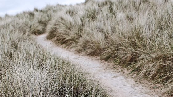 Wait, What’s That? The Science Behind Why Your Mind Keeps Wandering