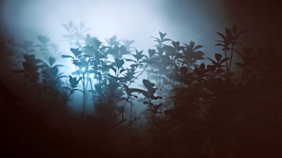 A Quick Exercise To Generate 9 New Growth Ideas