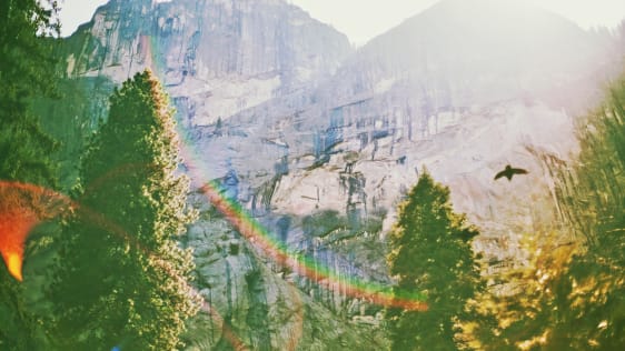 A Scientific Guide To Maximizing Your Impact On Twitter, Facebook, And Other Digital Media