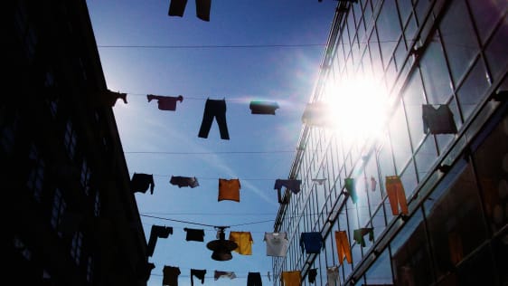 Habits 101: Essential Things You Should Know About Your Everyday Behavior
