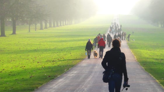 What The Happiest People Know About Work