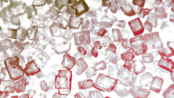How Giving Up Refined Sugar Changed My Brain
