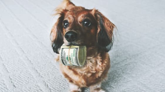The Five Most Common Ways Startups Waste Money