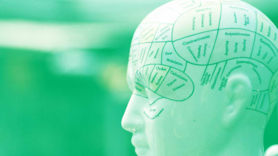 How Leaders Can Balance Logic And Emotion To Make Better Decisions