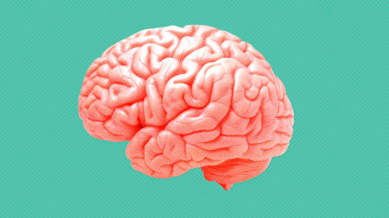 How Your Brain Reacts To Change