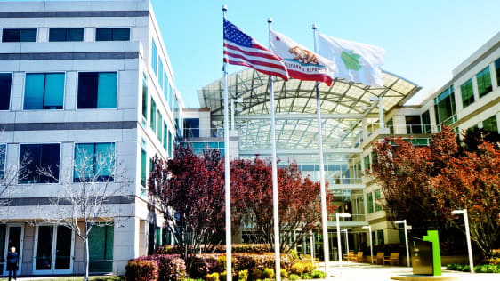 Why Employees At Apple And Google Are More Productive
