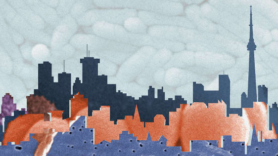 Your City Has A Bacterial Fingerprint That’s As Unique As Its Skyline