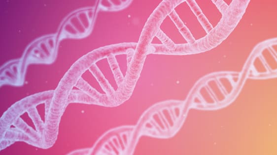 CRISPR stocks plummet over study pointing to potential adverse effects