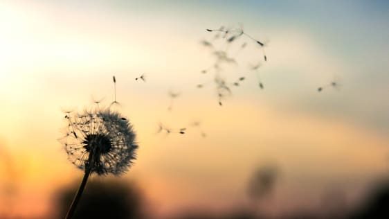 This is what you’re getting wrong about your pursuit of happiness