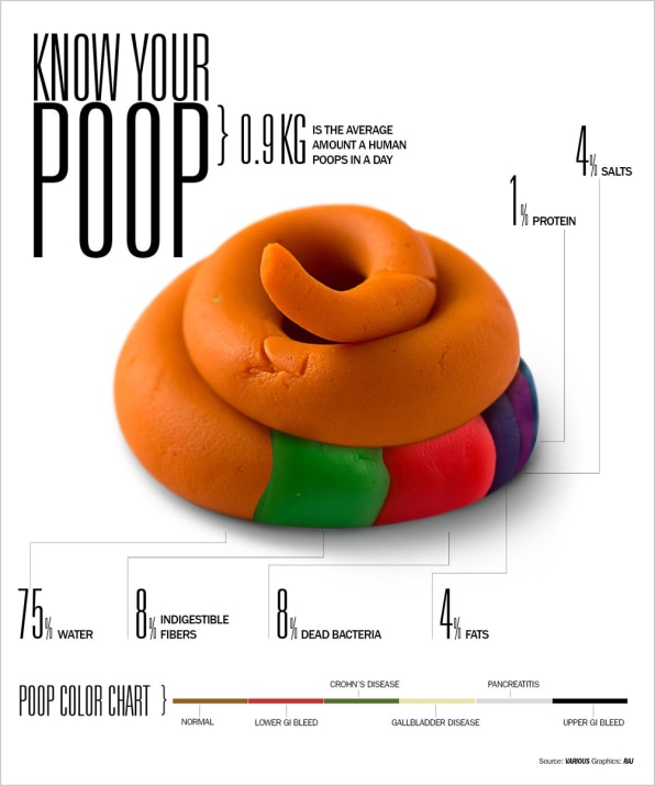 infographic-everything-you-were-afraid-to-ask-about-poop