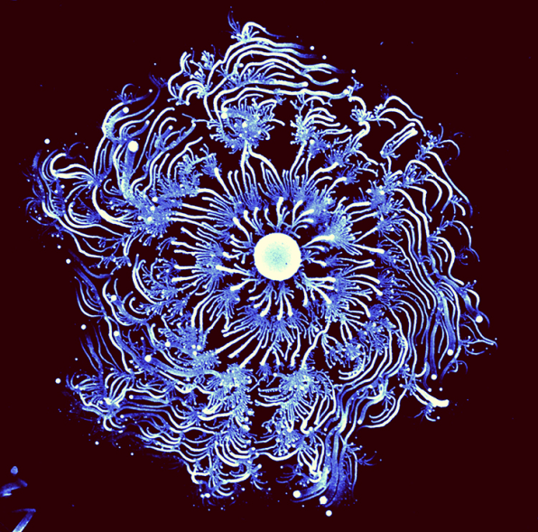 The Social Behavior Of Bacteria, Trippily Explored In Art