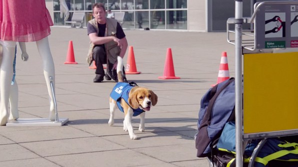 klm lost item on plane